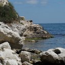 SAM_0204