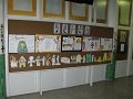 DSCF2176