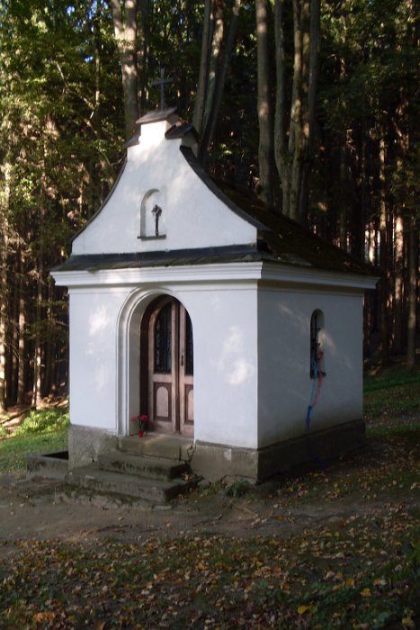 SDC10159
