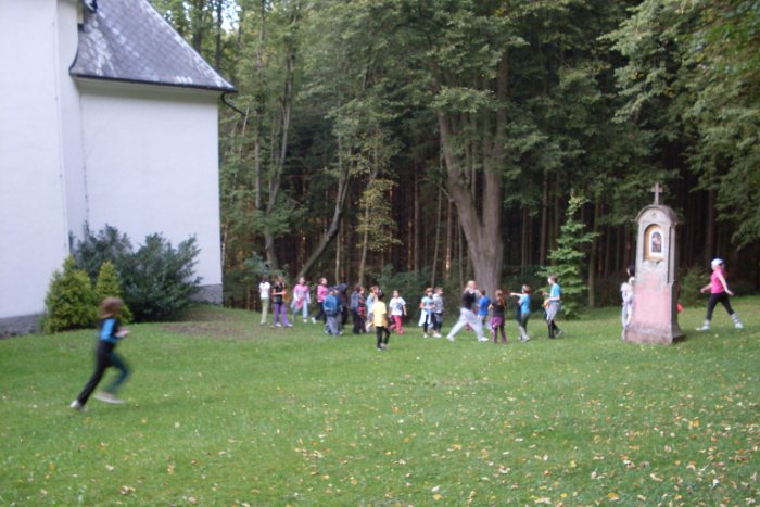 SDC10175