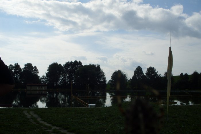 SDC10264