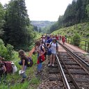 SDC15284