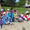 SAM_3179