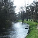 DSCF8259