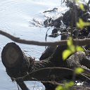 DSCF8274