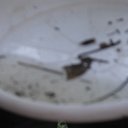 DSCF8286