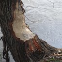 DSCF8289