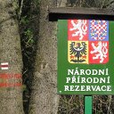 DSCF8292