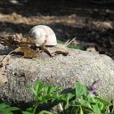 DSCF8297