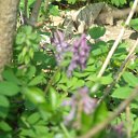 DSCF8305