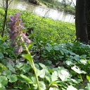 DSCF8308