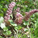DSCF8317