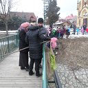 SAM_2727