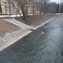 SAM_2733