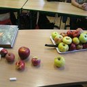 IMG_5977