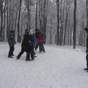 DSCF7848