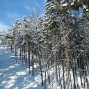 SAM_4273