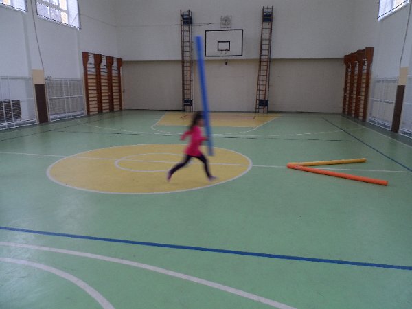 SAM_2300