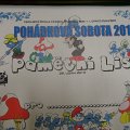 SAM_2303