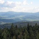 SDC11367