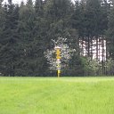 SDC11430