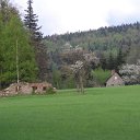 SDC11436