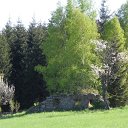 SDC11449