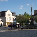 SDC11491
