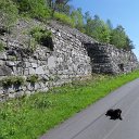 SDC11506
