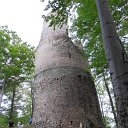 SDC11531