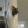 DSCF7716