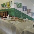 DSCF7746