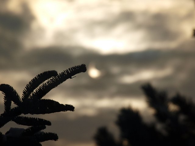 P1040849