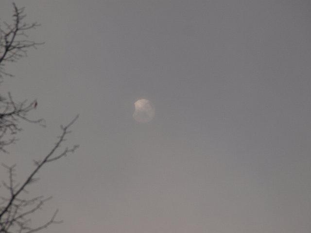 P1040873