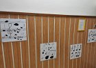 IMG 20200228 123130