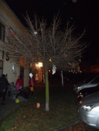 SAM_4034