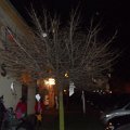 SAM_4034